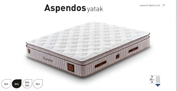 WhatsApp Image 2026-04-29 at 13,31,25 (17)-Picsart-AiImageEnhancer Lit ASPENDOS 160x200 avec matelas inclus