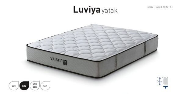 WhatsApp Image 2026-04-29 at 13,31,25 (25)-Picsart-AiImageEnhancer Lit LUVIYA 160x200 avec matelas inclus