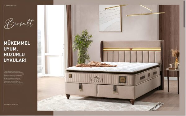 Lit BIOSALT 160x200 avec matelas
